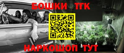 шишки Гагарин
