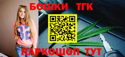 молекула духа Гатчина