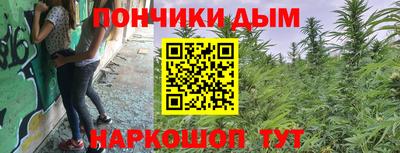 молекула духа Гатчина