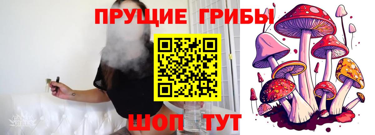 Галлюциногенные грибы прущие грибы Ногинск
