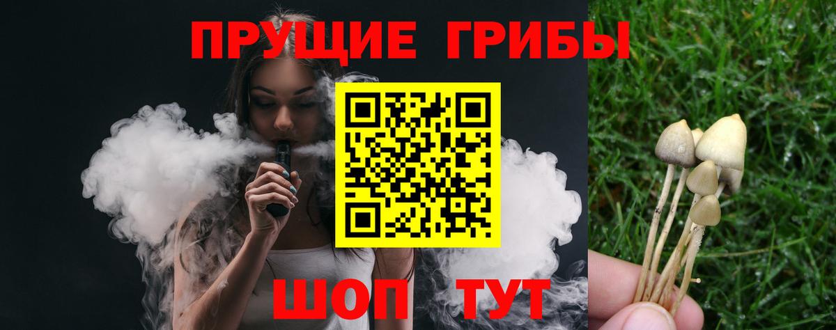 дарнет шоп  Псилоцибиновые грибы мухоморы  Галлюциногенные грибы Cubensis  Вход с VPN  Ногинск 